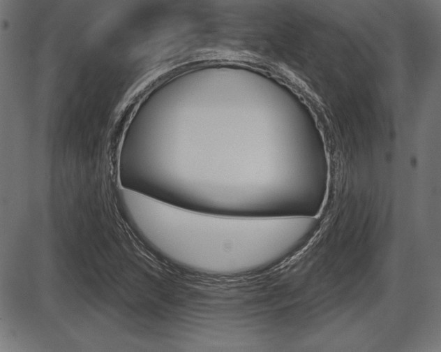 X0000087631215200705030719