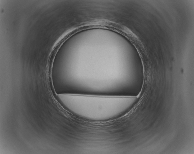 X0000087631216200705030719