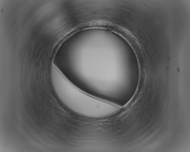 X0000087631217200705030719