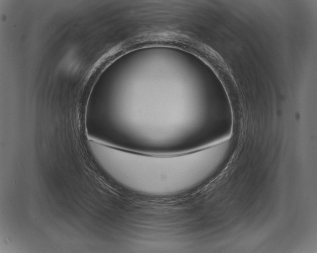 X0000087631218200705030719