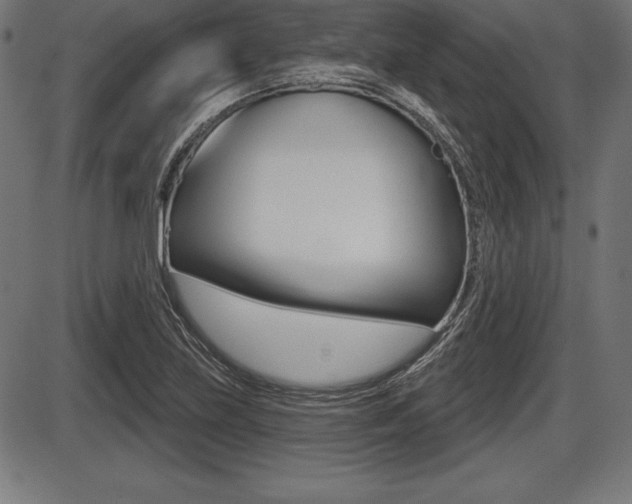 X0000087631219200705030719