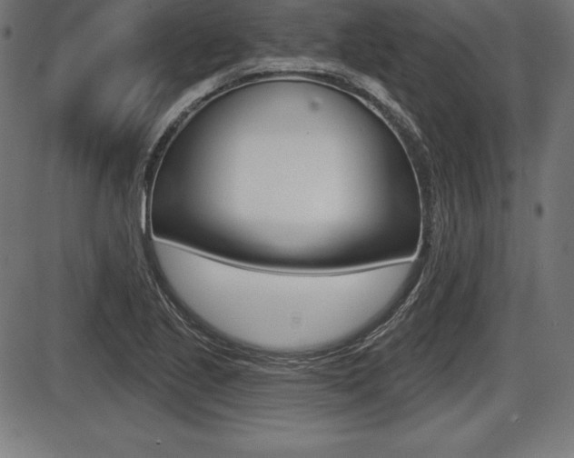 X0000087631221200705030719