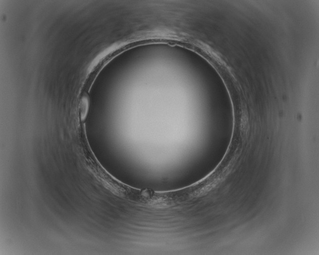 X0000087631222200705030719