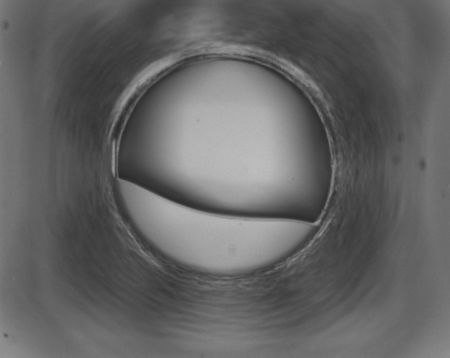 X0000087631223200705030719
