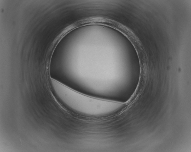 X0000087631225200705030719