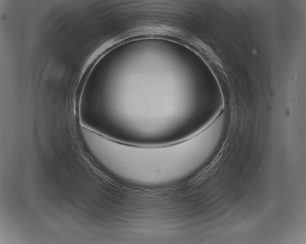 X0000087631226200705030719