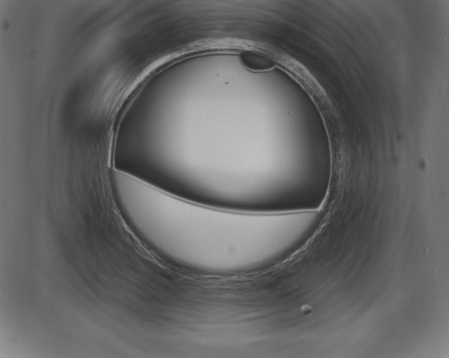 X0000087631228200705030719
