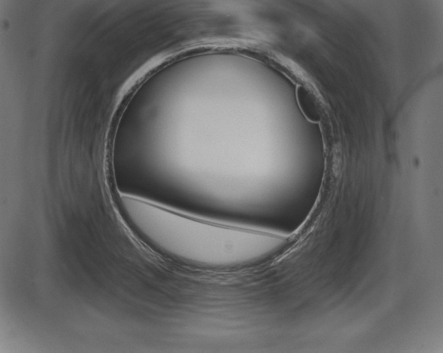 X0000087631229200705030719
