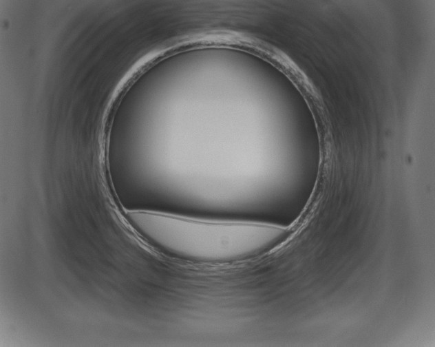 X0000087631232200705030719