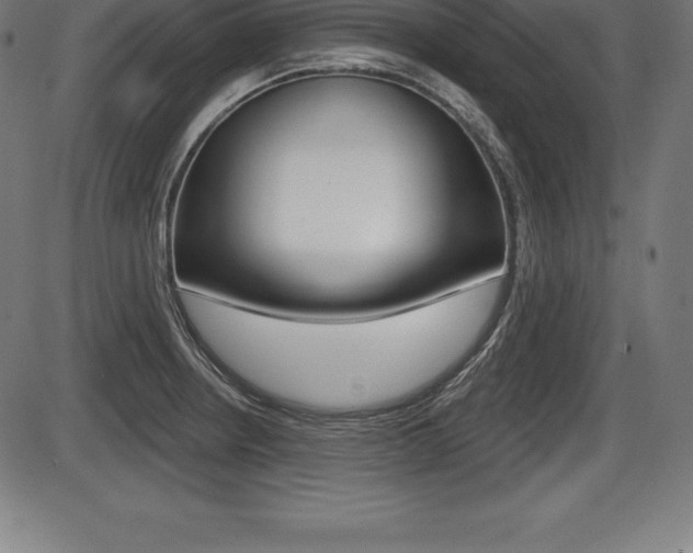 X0000087631234200705030719