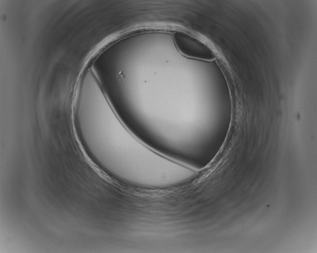 X0000087631237200705030719