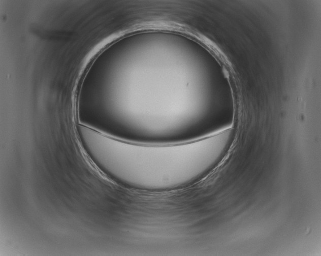X0000087631238200705030719