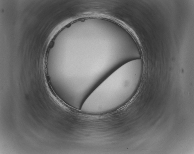 X0000087631239200705030719