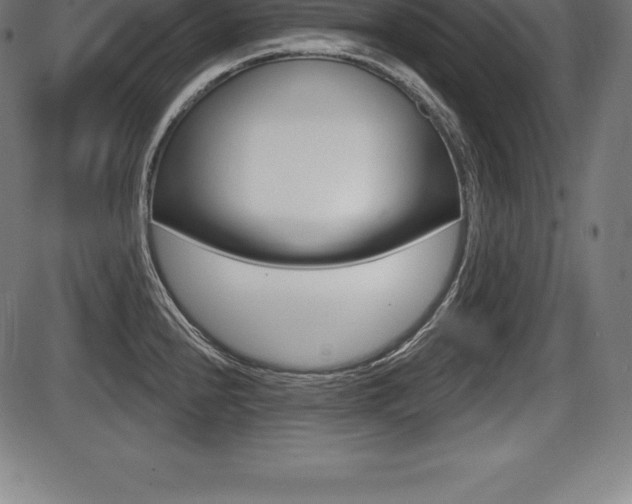 X0000087631240200705030719