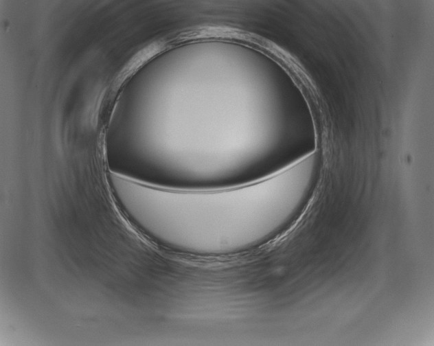 X0000087631241200705030719