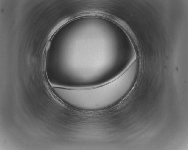 X0000087631242200705030719