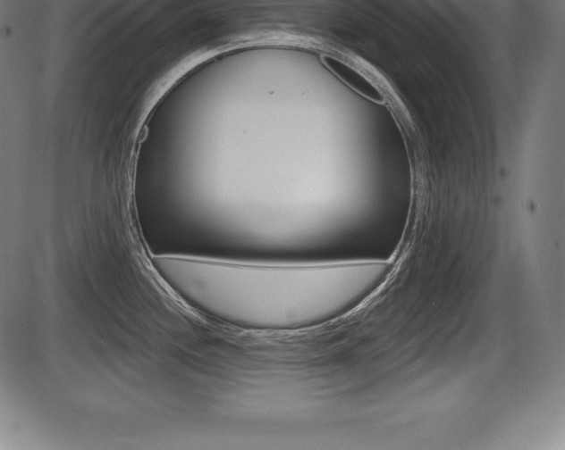 X0000087631244200705030719