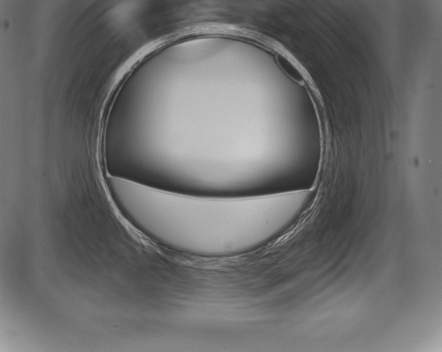 X0000087631245200705030719