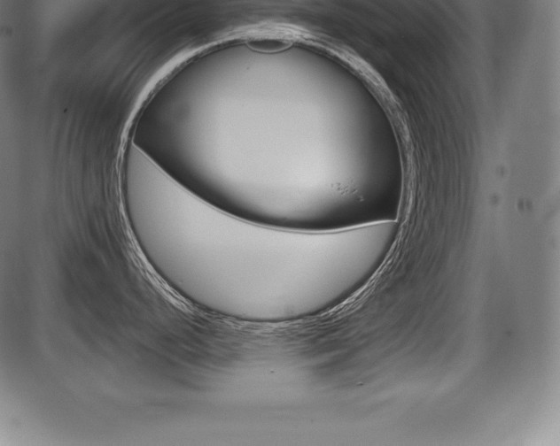 X0000087631248200705030719