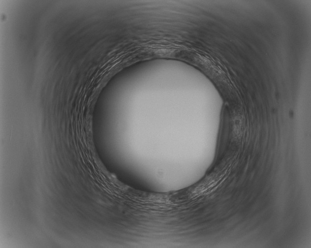 X0000087631249200705030718