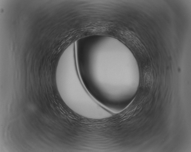 X0000087631250200705030718