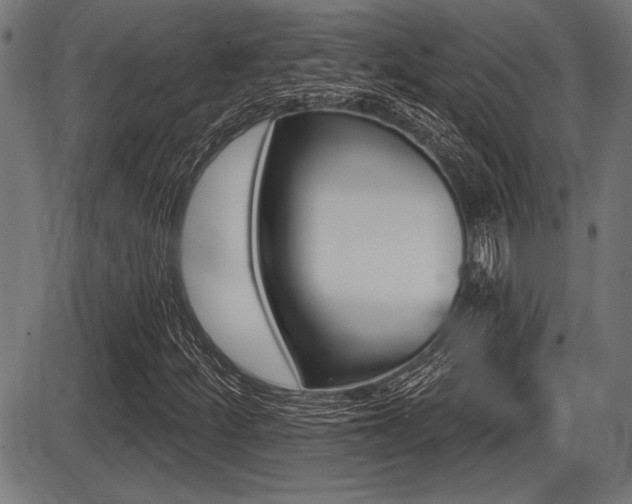 X0000087631252200705030718