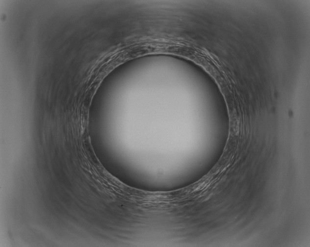 X0000087631253200705030718