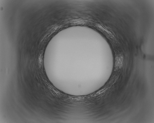 X0000087631254200705030718