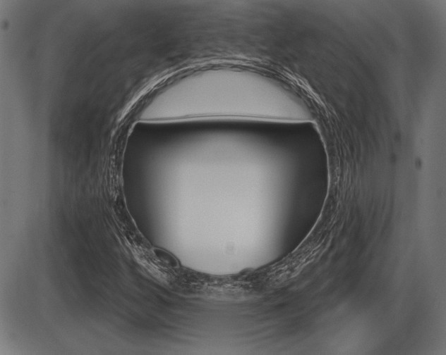 X0000087631256200705030718