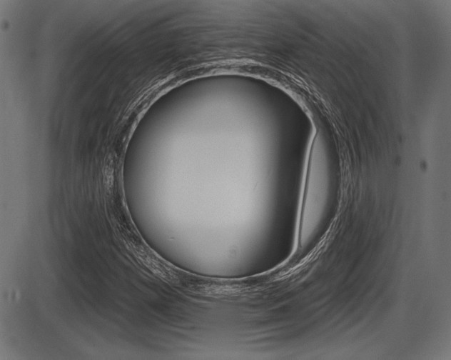 X0000087631257200705030718