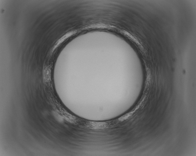 X0000087631258200705030718