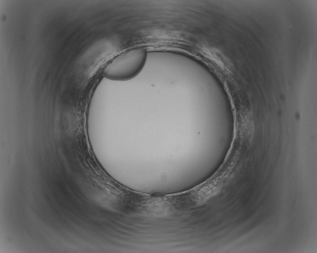 X0000087631259200705030718