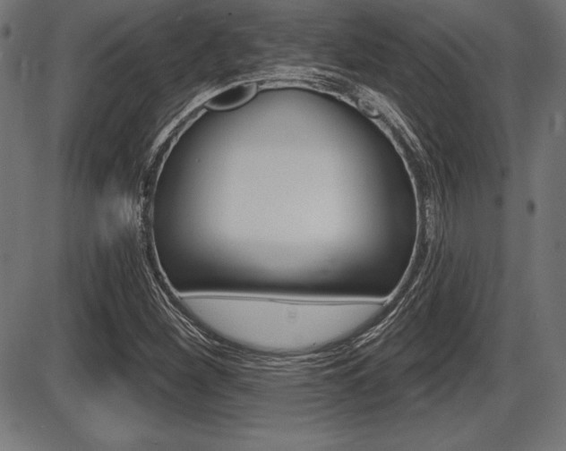 X0000087631260200705030718