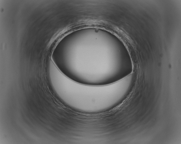 X0000087631261200705030718