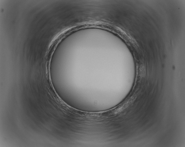 X0000087631262200705030718