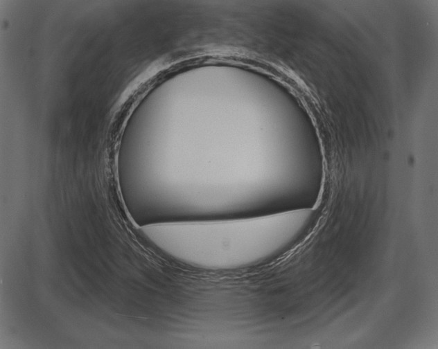 X0000087631263200705030718