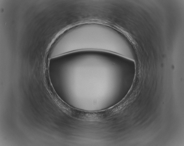 X0000087631264200705030718