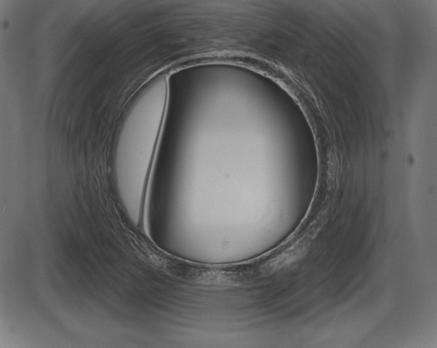 X0000087631265200705030718