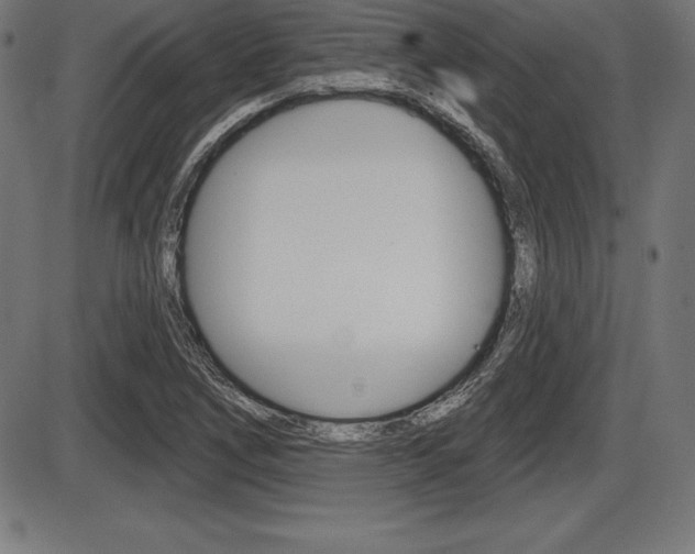 X0000087631266200705030718