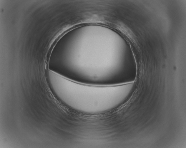 X0000087631268200705030718