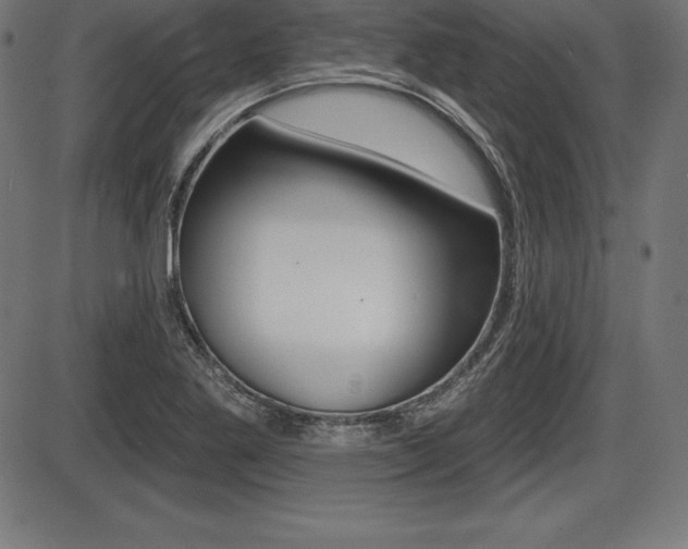 X0000087631269200705030718