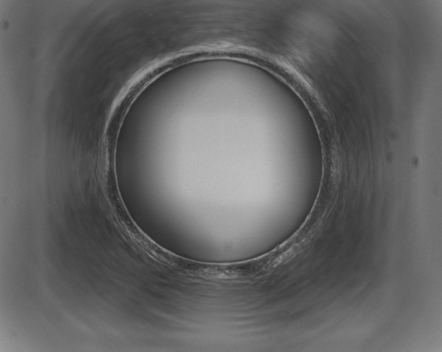 X0000087631270200705030718
