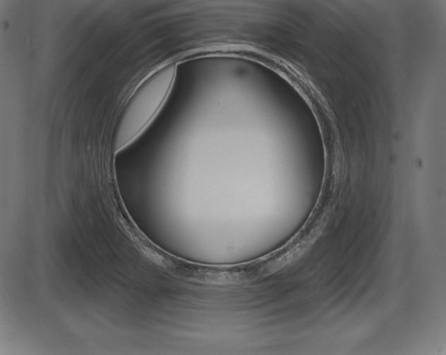X0000087631273200705030718
