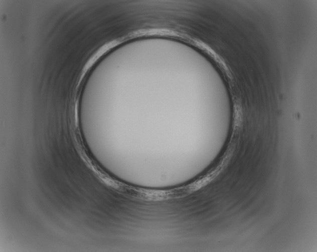 X0000087631274200705030718