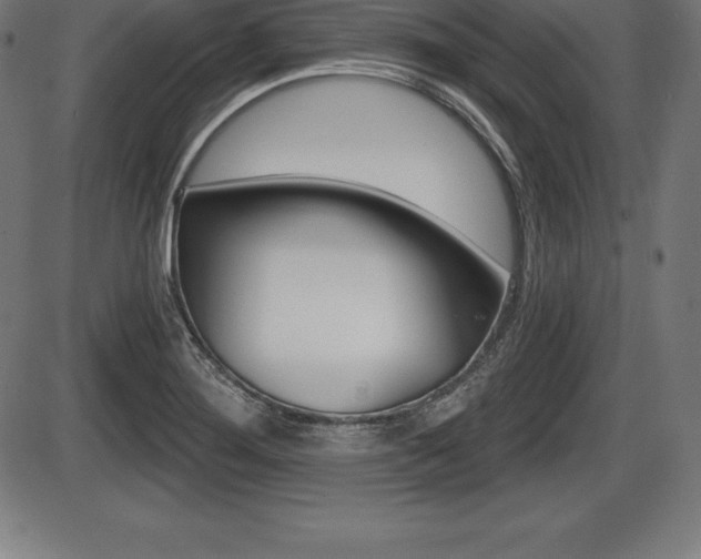 X0000087631276200705030718