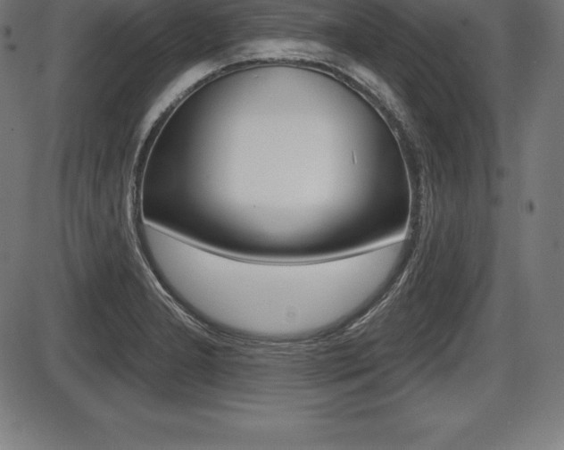 X0000087631277200705030718