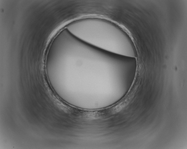 X0000087631279200705030718