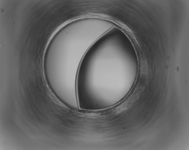 X0000087631280200705030718