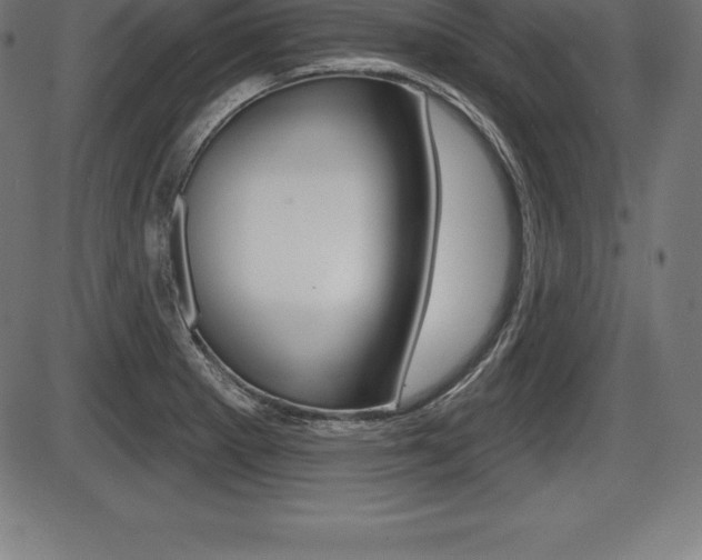 X0000087631281200705030718