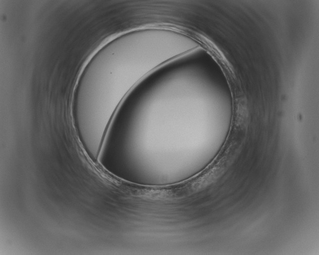X0000087631284200705030718